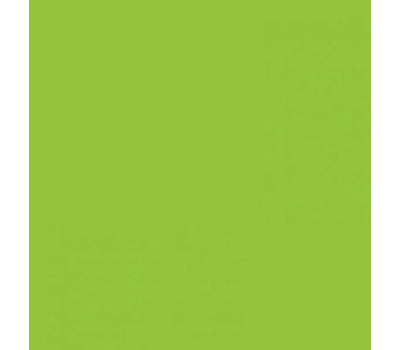 Картон Folia Photo Mounting Board 300 г/м2, A4, №50 Spring green Салатовый