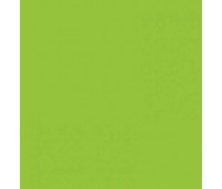 Двухсторонний декоративный картон фотофон Folia Photo Mounting Board 300 г/м2,50x70 см №50 Spring green Салатовый