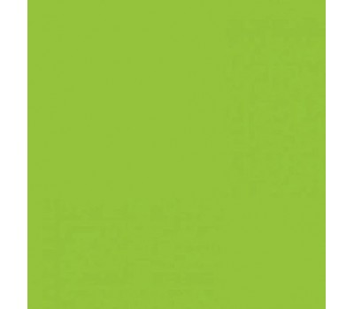 Двухсторонний декоративный картон фотофон Folia Photo Mounting Board 300 г/м2,50x70 см №50 Spring green Салатовый