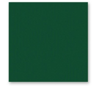 Фетр листовий Folia Hobby Craft Felt, 20x30 см №58 Fir green Темно-зелений