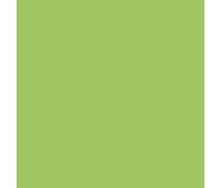 Папір Folia Tinted Paper 130 гр, 20х30 см № 51 Light green Світло-зелений арт 6451
