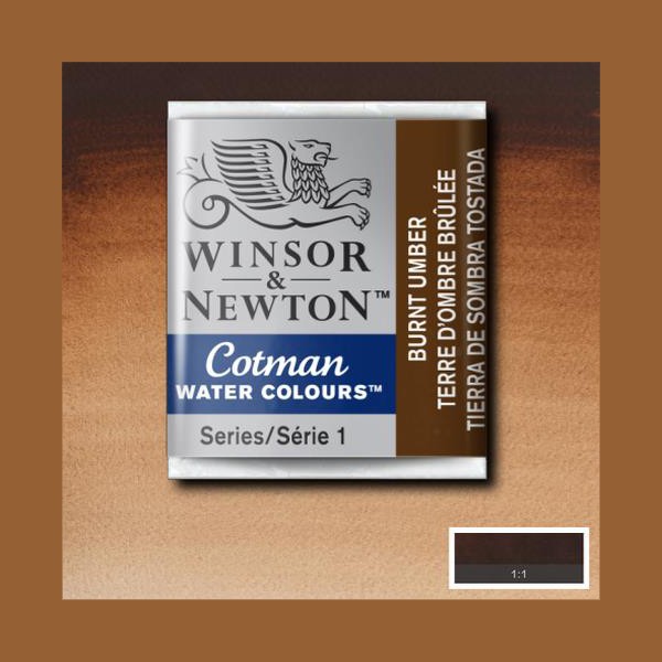 Акварельна фарба Winsor Newton Cotman Half Pan, № 076 Burnt Umber Палена умбра