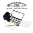 Набір акварельних фарб Winsor Newton Professional Water Colour Field Box, 12 кювет + аксесуари