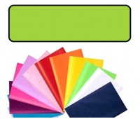 Папір обгортковий тишею однотонний Folia Tissue Paper 20 г/м2, 50x70 см, 13 листів, №51 Light green Світло-зелений