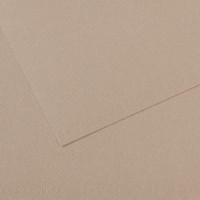 Папір пастельний Canson Mi-Teintes 160 г/м2 50x65 см №122 Flannel gray Фланелевий сірий
