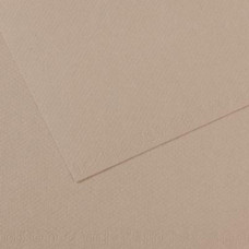 Папір пастельний Canson Mi-Teintes 160 г/м2 50x65 см №122 Flannel gray Фланелевий сірий