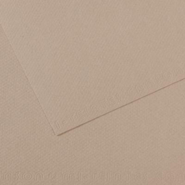 Папір пастельний Canson Mi-Teintes 160 г/м2 50x65 см №122 Flannel gray Фланелевий сірий