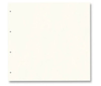 Картон для альбому Folia Ring binder dividers 300 г/м2,21,5x22,5 см 20, № 01 Pearl white Молочний арт 63901