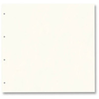 Картон для альбома Folia Ring binder dividers 300 г/м2,21,5x22,5 см 20, № 01 Pearl white Молочный арт 63901