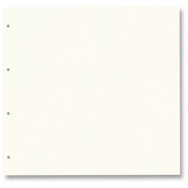 Картон для альбома Folia Ring binder dividers 300 г/м2,21,5x22,5 см 20, № 01 Pearl white Молочный арт 63901