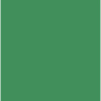 Бумага Folia Tinted Paper 130 г/м2, 20х30 см, №53 Moss green Тускло-зеленый