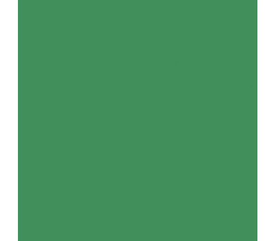 Папір Folia Tinted Paper 130 г/м2, 20х30 см, №53 Moss green Тьмяно-зелений