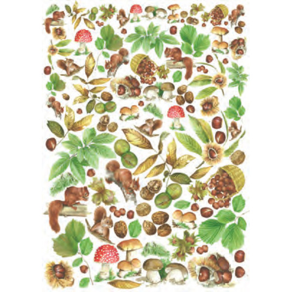 Карта для декупажу Каштан із горіхами розмір 50x70 см