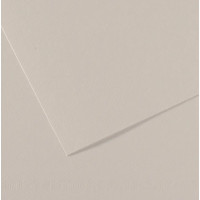 Бумага для пастели Canson Mi-Teintes, №120 Нежно-серый Pearl grey, 160 г/м2, 75x110 см