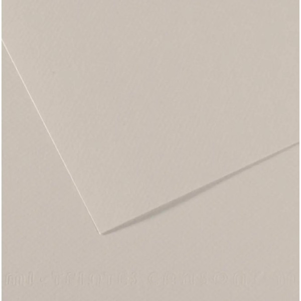 Бумага для пастели Canson Mi-Teintes, №120 Нежно-серый Pearl grey, 160 г/м2, 75x110 см