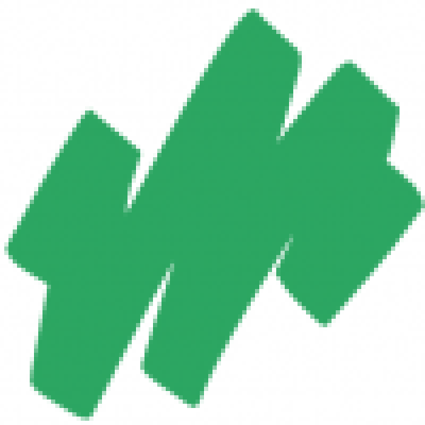 Чорнило Copic Various Ink для маркерів G-17 Forest green Зелене листя арт 2007623