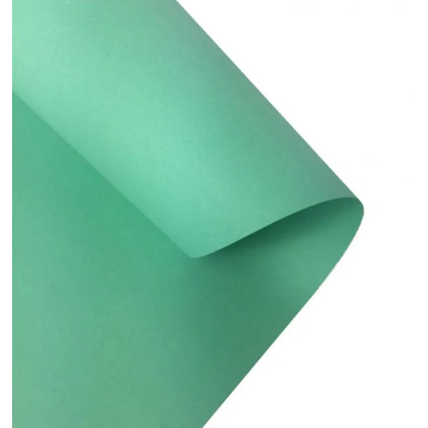 Картон Folia Photo Mounting Board 300 г/м2, 70x100 см, №25 Mint Мятный