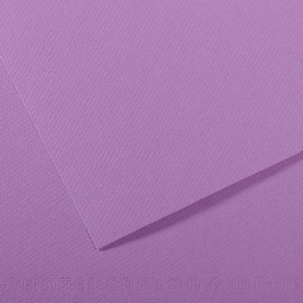Бумага пастельная Canson Mi-Teintes 160 г/м2 A4, №113 Blueberry Черничный
