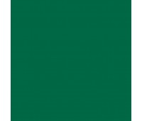 Картон Folia Photo Mounting Board 300 г/м2, 70x100 см №58 Fir green Темно-зелений
