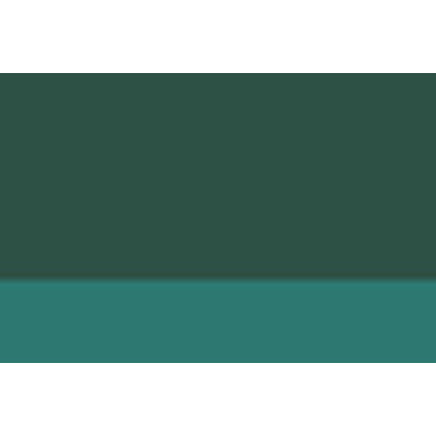 Олійна фарба Lefranc Extra Fine 40 мл №505 Chrome green deep Глибокий хромовий зелений