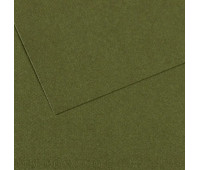 Бумага для пастели Canson Mi-Teintes, №448 Темно-зеленый Ivy, 160 г/м2, 75x110 см
