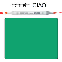 Маркер Copic Ciao G-17 Forest green Зеленое лесное