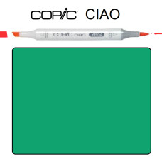 Маркер Copic Ciao G-17 Forest green Зелене лісове