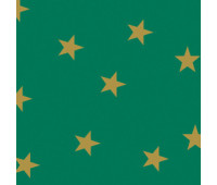Картон для дизайну золоті зірки Folia Photo Mounting Board with gold stars 300 г/м2, 50x70 см, №51 Green Зелений