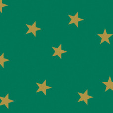 Картон для дизайну золоті зірки Folia Photo Mounting Board with gold stars 300 г/м2, 50x70 см, №51 Green Зелений