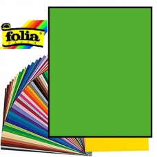 Картон Folia Photo Mounting Board 300 г/м2, A4 №55 Grass green Зелений