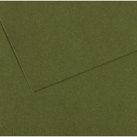 Бумага для пастели Canson Mi-Teintes, №448 Темно-зеленый Ivy, 160 г/м2, 75x110 см