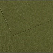 Папір для пастелі Canson Mi-Teintes №448 Темно-зелений Ivy, 160 г/м2, 75x110 см