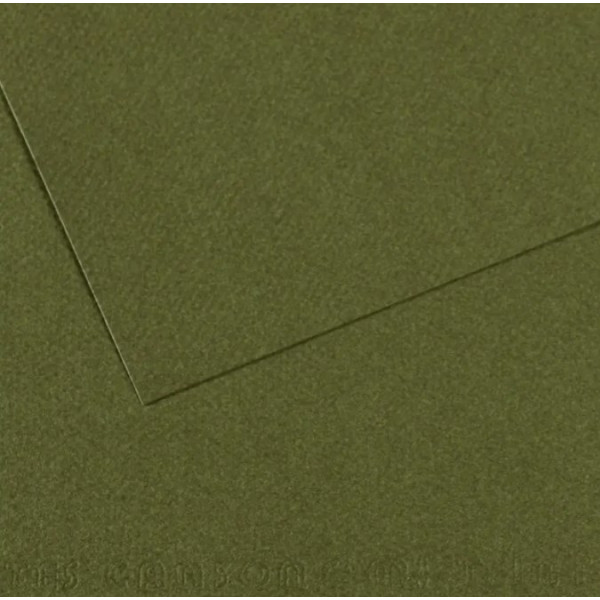 Бумага для пастели Canson Mi-Teintes, №448 Темно-зеленый Ivy, 160 г/м2, 75x110 см