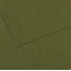 Бумага для пастели Canson Mi-Teintes, №448 Темно-зеленый Ivy, 160 г/м2, 75x110 см