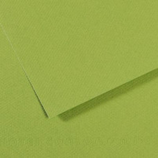 Папір пастельний Canson Mi-Teintes, 160 г/м2, A4 №475 Apple green Яблучно-зелений