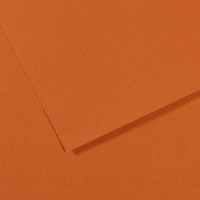 Бумага пастельная Canson Mi-Teintes, 160 г/м2, A4 №504 Amber Янтарный