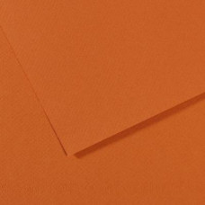 Папір пастельний Canson Mi-Teintes, 160 г/м2, A4 №504 Amber Бурштиновий