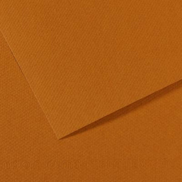 Папір пастельний Canson Mi-Teintes, 160 г/м2, A4 №502 Bisque Світло-коричневий