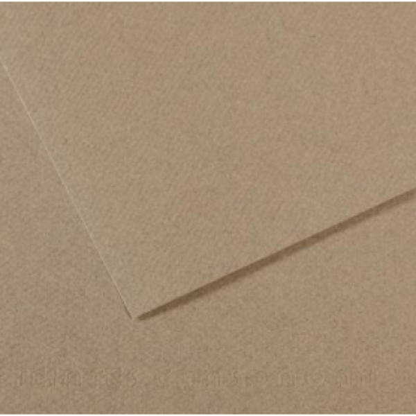 Бумага пастельная Canson Mi-Teintes 160 г/м2 50x65 см, №429 Felt gray Фетровый серый