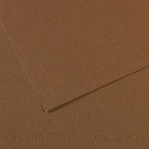Папір пастельний Canson Mi-Teintes 160 г/м2 50x65 см №133 Sepia Сепія