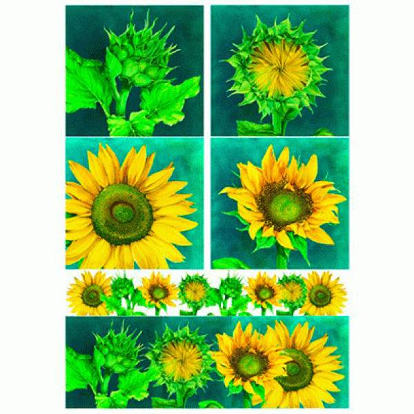 Карта для декупажу Соняшники 2 розмір 50x70 см