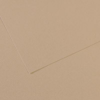 Бумага пастельная Canson Mi-Teintes, 160 г/м2, A4 №343 Pearl Жемчужный