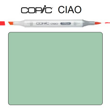 Маркер Copic Ciao YG-63 Pea green Зелений горошок