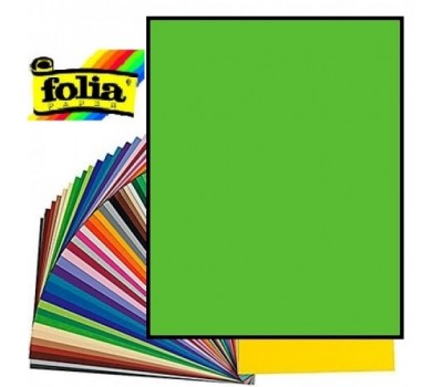 Двосторонній декоративний картон фотофон Folia Photo Mounting Board 300 г/м2,50x70 см №51 Світло-зелений