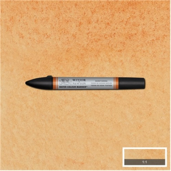 Акварельний маркер Winsor Newton №074 Burnt sienna Сієна палена