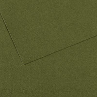 Бумага пастельная Canson Mi-Teintes, 160 г/м2, A4 №448 Ivy Темно-зеленый
