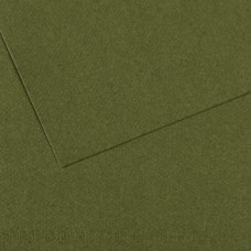 Папір пастельний Canson Mi-Teintes, 160 г/м2, A4 №448 Ivy Темно-зелений