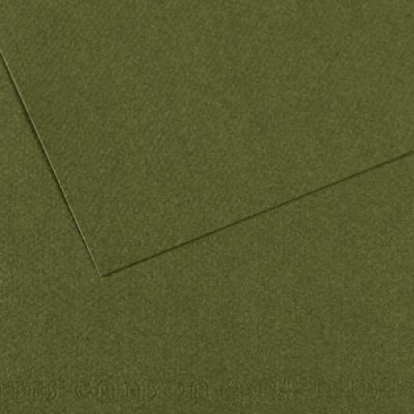 Бумага пастельная Canson Mi-Teintes, 160 г/м2, A4 №448 Ivy Темно-зеленый