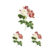 Натирки кольорові Cadence, 17х25 см, RR-049