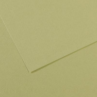 Бумага пастельная Canson Mi-Teintes 160 г/м2 50x65 см №480 Light green Светло-зеленый